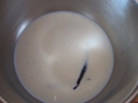 Holunderbeerensuppe - Rezept - Bild Nr. 4