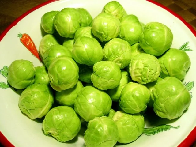 Rezept: Rosenköhlchen mit Kochschinken Bild Nr. 2 Rosenköhlchen mit Kochschinken - Rezept - Bild Nr. 2