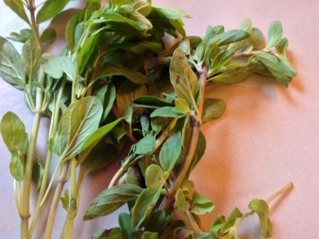 Macaroni Bolognese - Rezept - Bild Nr. 9