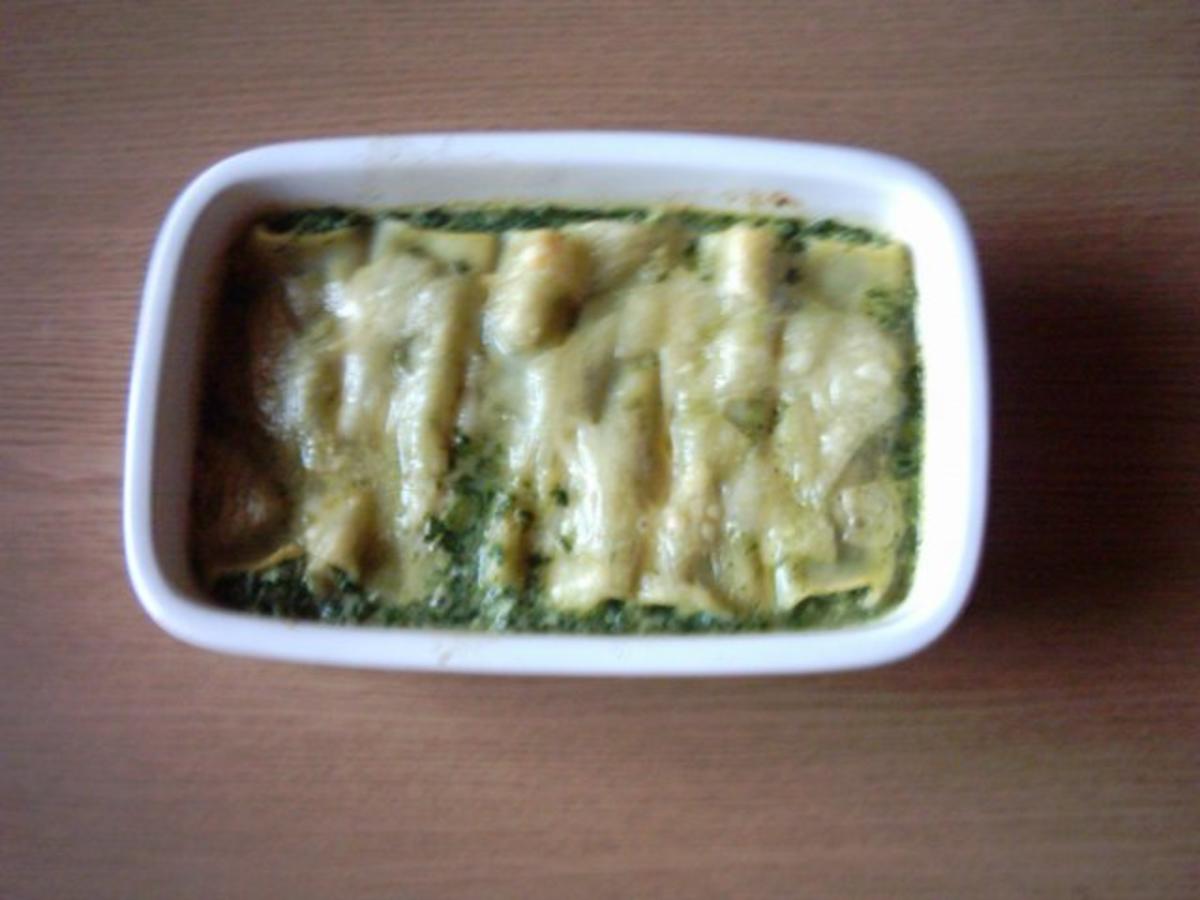 Bilder für Cannelloni gefüllt mit Rocotta-Spinat - Rezept