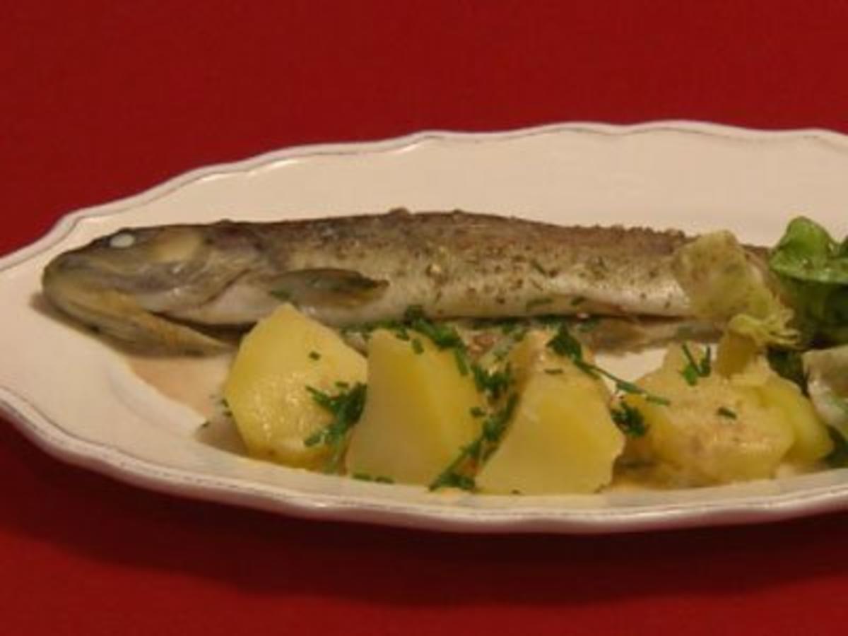 Rahmforelle vom Erler Wirt mit heimischem Kräutersalat und Salzkartoffeln - Rezept