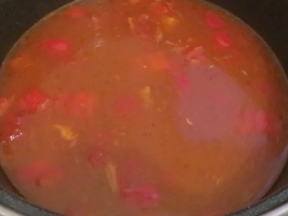 Kochen: Scharfe Hähnchen-Tomaten-Suppe - Rezept - Bild Nr. 2