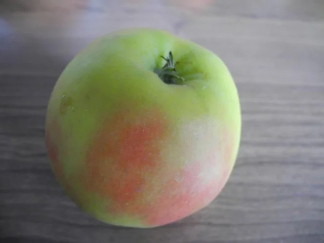 Vegan : vegane "armen Ritter" - geht nicht ? gibt´s nicht :-) - Rezept - Bild Nr. 15