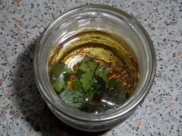 Öle: Scharfes Thai-Basilikum-Ingwer-Öl - Rezept - Bild Nr. 3