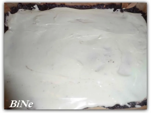 BiNe` S SCHOKOLADEN - MINZCREMESTUECKE - Rezept - Bild Nr. 7