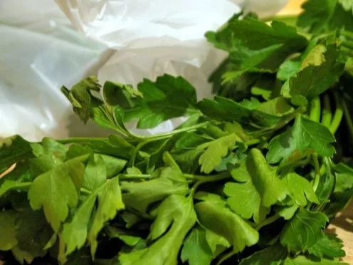 Rezept: Spaghetti mit einer Gemüse-Käse-Sauce Bild Nr. 8 Spaghetti mit einer Gemüse-Käse-Sauce - Rezept - Bild Nr. 8