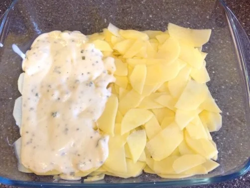 Kartoffel - Champignon - Gratin - Rezept - Bild Nr. 8