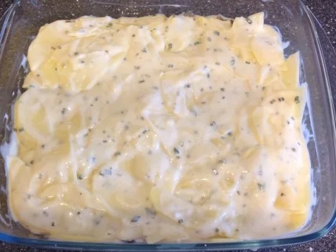 Kartoffel - Champignon - Gratin - Rezept - Bild Nr. 10