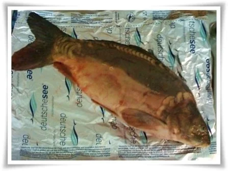 ☆…alle Jahre wieder…☆… das  traditionelle Weihnachtsessen - Rezept - Bild Nr. 3