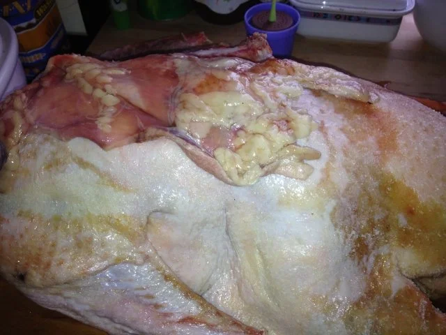 Rezept: Gan(z)s einfach Bild Nr. 3 Gan(z)s einfach - Rezept - Bild Nr. 3