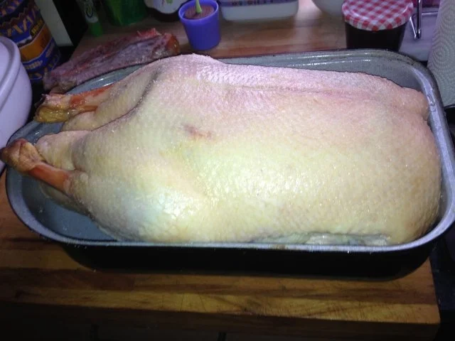 Rezept: Gan(z)s einfach Bild Nr. 4 Gan(z)s einfach - Rezept - Bild Nr. 4