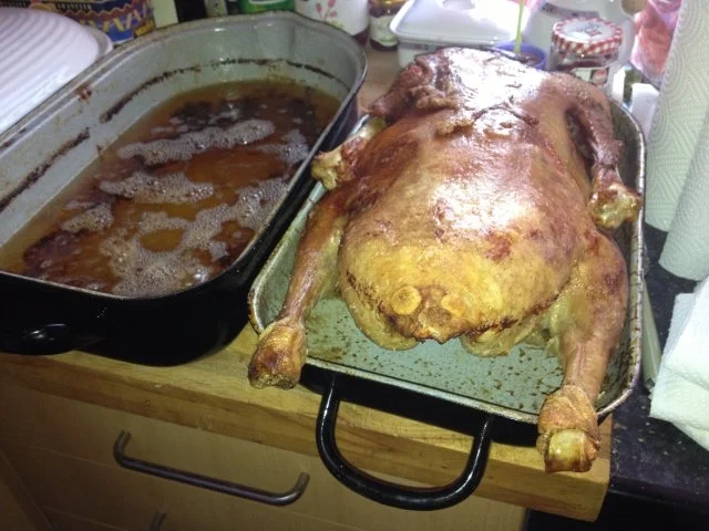 Rezept: Gan(z)s einfach Bild Nr. 7 Gan(z)s einfach - Rezept - Bild Nr. 7