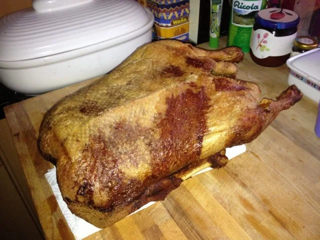 Rezept: Gan(z)s einfach Bild Nr. 9 Gan(z)s einfach - Rezept - Bild Nr. 9