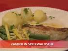 Zander in Spreewaldsoße - Rezept