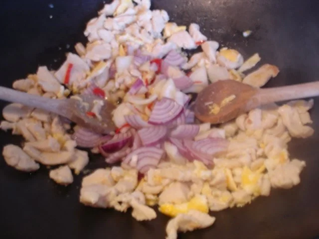 Rezept: Chinesische Nudeln mit Hähnchenbrustfilet und Gemüse Bild Nr. 9 Chinesische Nudeln mit Hähnchenbrustfilet und Gemüse - Rezept - Bild Nr. 9