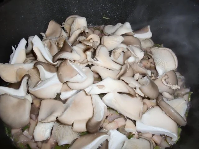 Austernpilze mit Rosmarin - Rezept - Bild Nr. 3