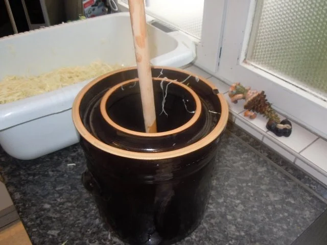 Sauerkraut - Rezept - Bild Nr. 11