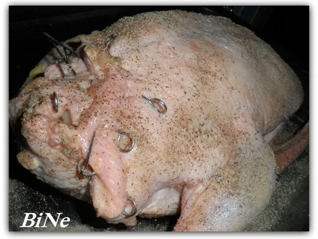 Rezept: BiNe` S WEIHNACHTSENTE Bild Nr. 5 BiNe` S WEIHNACHTSENTE - Rezept - Bild Nr. 5