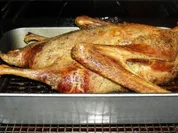 Gans - Rezept