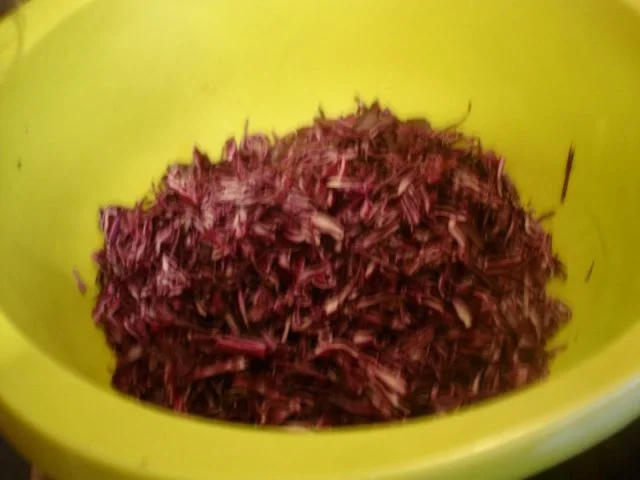 Gänsebraten mit selbstgemachten Rotkohl und tschechischen Hefeknödeln - Rezept - Bild Nr. 15