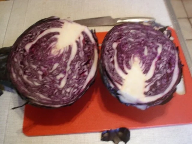 Gänsebraten mit selbstgemachten Rotkohl und tschechischen Hefeknödeln - Rezept - Bild Nr. 13