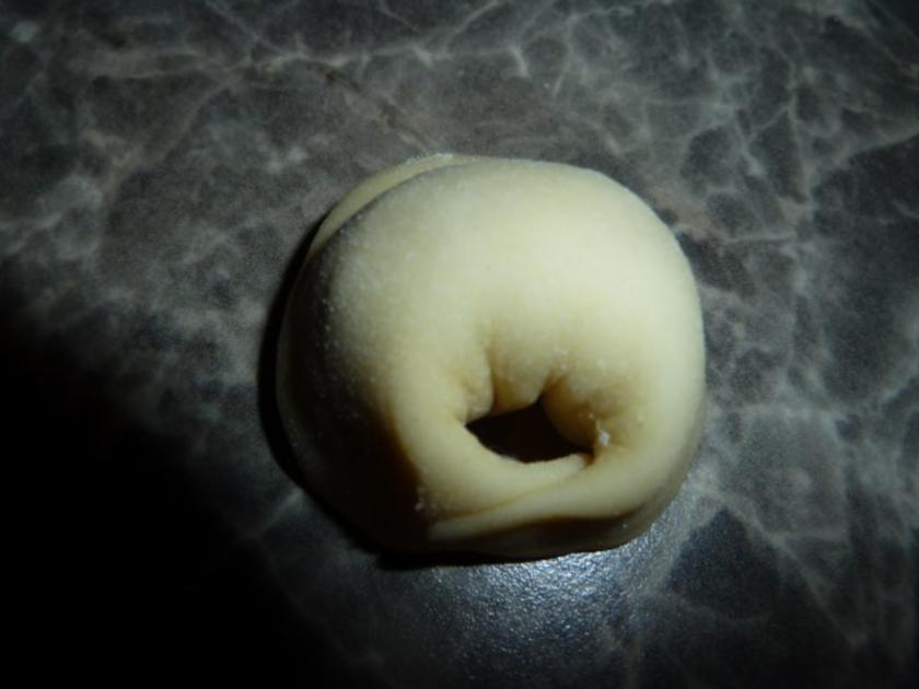 Pelmeni - schnell &amp; einfach - 252 kcal/100g