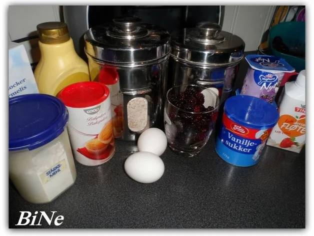 BiNe` S BROMBEER - JOGHURT -  MUFFINS - Rezept - Bild Nr. 3