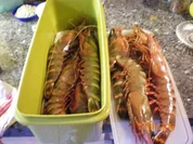 Garnelen: Riesenblacktiger-Garnelen - Rezept