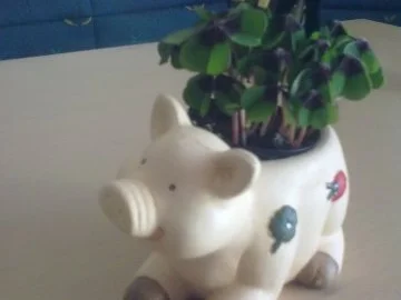 Silvester-Neujahrsrezept - Rezept