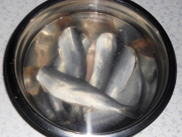 Oma Friede`s Ostpreußischer Silvester Heringssalat Rzpt um 1939 ...