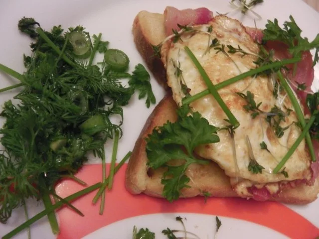 Bauerntoast mit Kräuter-Topping "Primavera" - Rezept - Bild Nr. 4