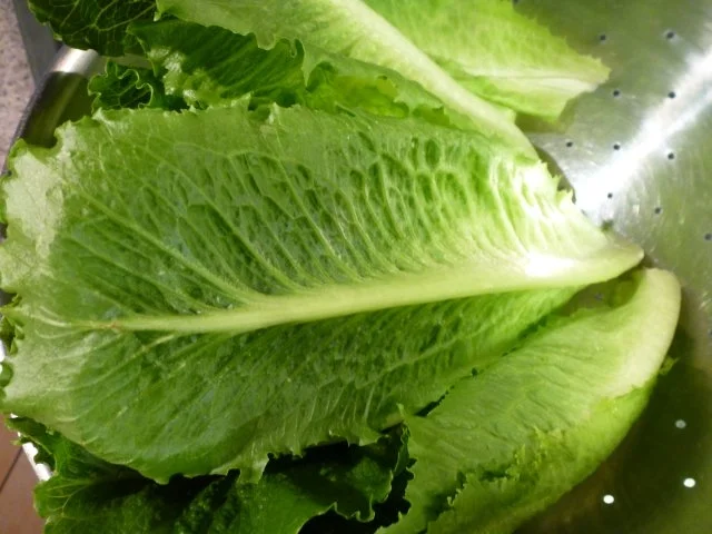 Salarico-Fenchel-Salat - Rezept - Bild Nr. 3