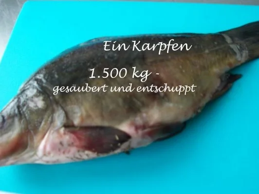 Festtagskarpfen - Rezept - Bild Nr. 2