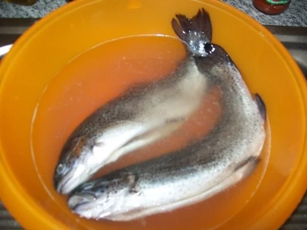 Fisch: Spessartforelle mit Mandelblättchen - Rezept - Bild Nr. 2