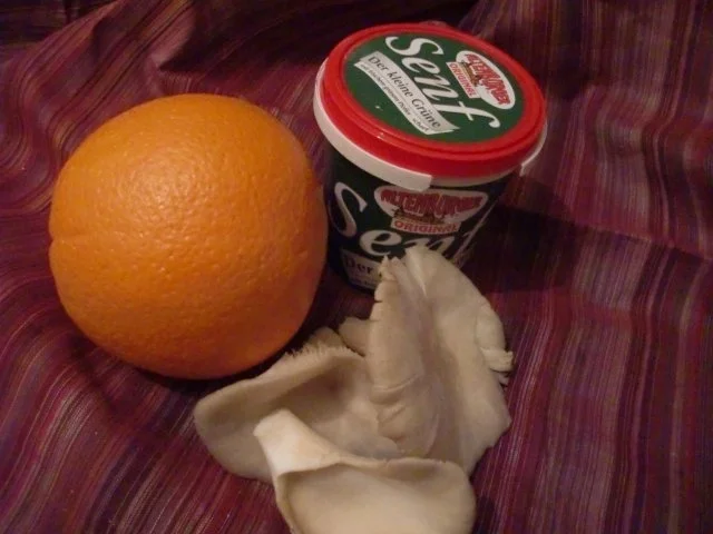 Rezept: Austernpilze mit Senf und Dill Bild Nr. 2 Austernpilze mit Senf und Dill - Rezept - Bild Nr. 2