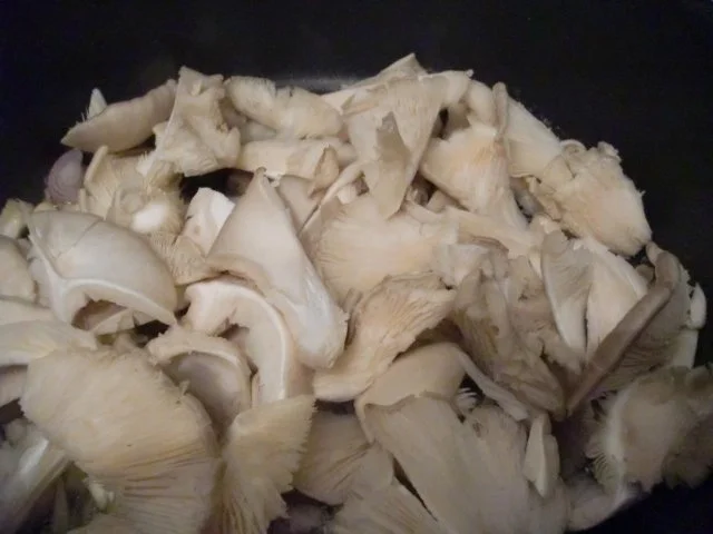 Rezept: Austernpilze mit Senf und Dill Bild Nr. 5 Austernpilze mit Senf und Dill - Rezept - Bild Nr. 5