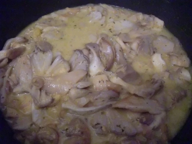 Rezept: Austernpilze mit Senf und Dill Bild Nr. 6 Austernpilze mit Senf und Dill - Rezept - Bild Nr. 6