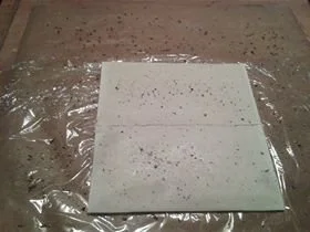 Rezept: Herzhafte Hasen-Öhrchen (oder Schweineohren) -Blätterteiggebäck- Bild Nr. 2 Herzhafte Hasen-Öhrchen (oder Schweineohren) -Blätterteiggebäck- - Rezept - Bild Nr. 2