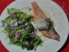 Gebirgskräutersalat, dazu geräuchertes Saiblingsfilet - Rezept