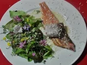 Gebirgskräutersalat, dazu geräuchertes Saiblingsfilet - Rezept