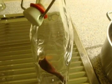 Heißer Cidre - Rezept - Bild Nr. 4