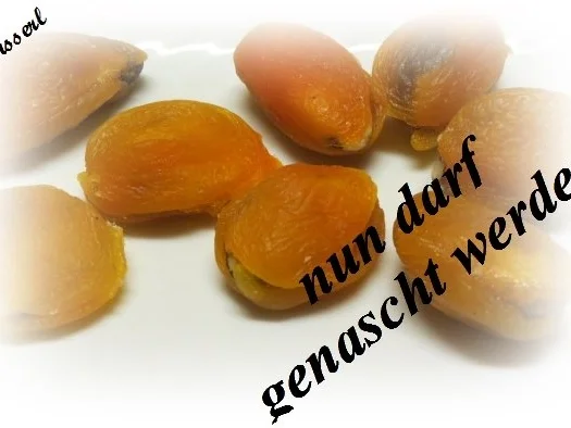 Rezept: Sisserl's ~ Nuss im Aprikosenmäntelchen Bild Nr. 2 Sisserl's ~ Nuss im Aprikosenmäntelchen - Rezept - Bild Nr. 2