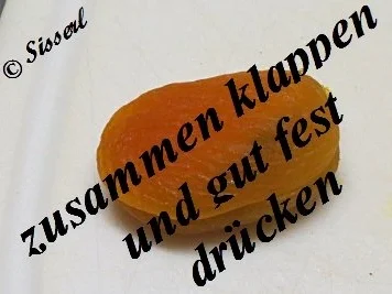 Rezept: Sisserl's ~ Nuss im Aprikosenmäntelchen Bild Nr. 8 Sisserl's ~ Nuss im Aprikosenmäntelchen - Rezept - Bild Nr. 8