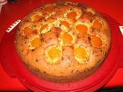 Versunkener Aprikosen Kuchen - Rezept