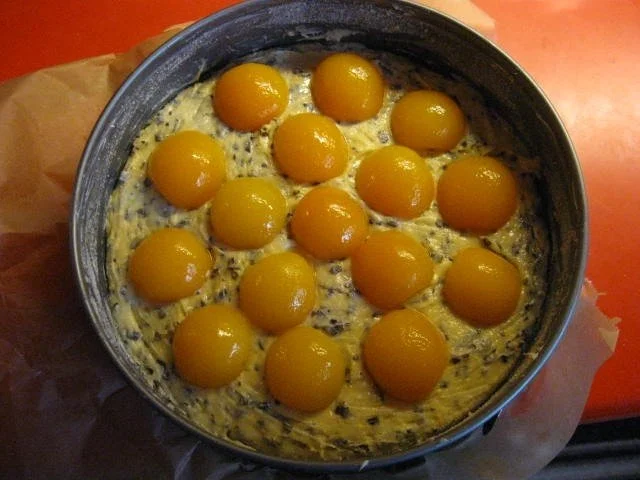 Rezept: Versunkener Aprikosen Kuchen Bild Nr. 10 Versunkener Aprikosen Kuchen - Rezept - Bild Nr. 10