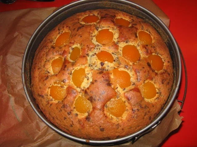 Rezept: Versunkener Aprikosen Kuchen Bild Nr. 11 Versunkener Aprikosen Kuchen - Rezept - Bild Nr. 11