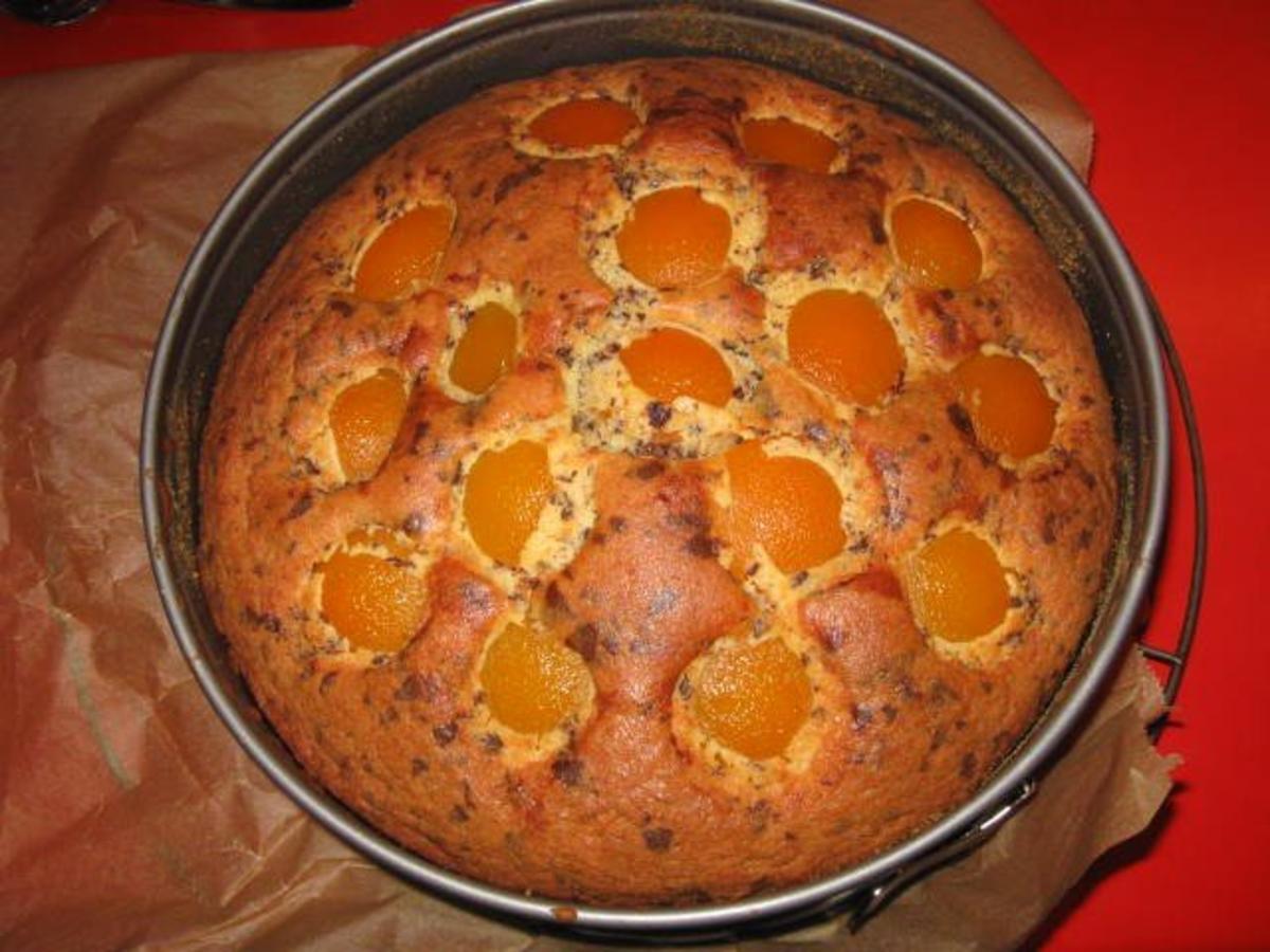 Versunkener Aprikosen Kuchen - Rezept mit Bild - kochbar.de