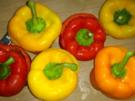 Gefüllte Paprika - Rezept