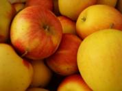 Apfel-Chili Chutney - Rezept
