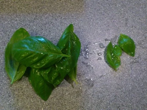 Pizza mit Chili Salsa und Habanero Cabajer - Rezept - Bild Nr. 2